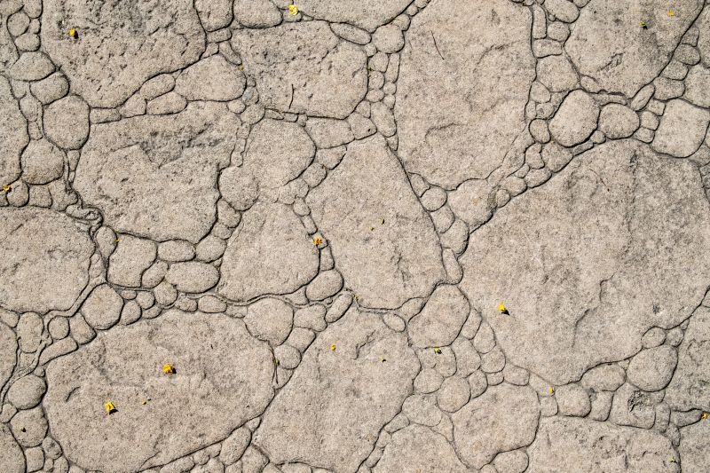 Decorative Concrete Repair in Leesburg, VA