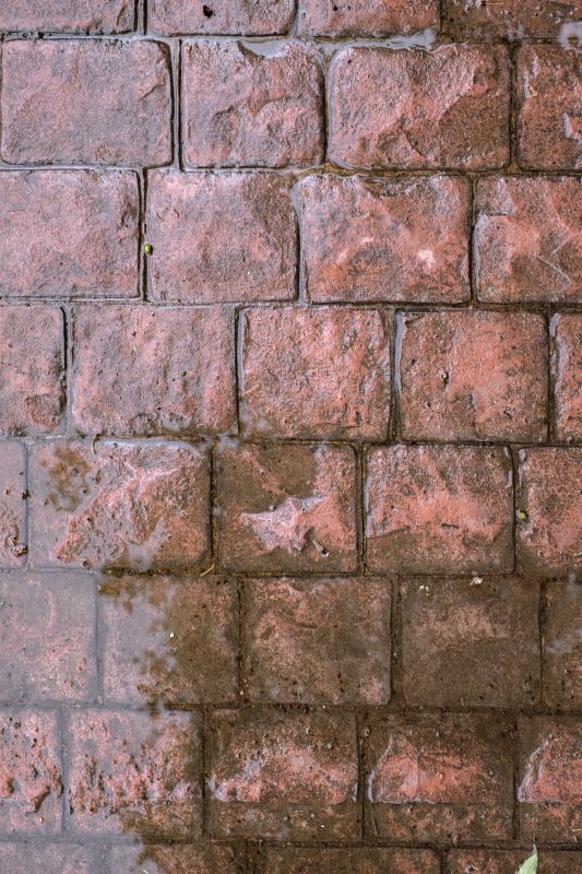 Decorative Concrete Repair in Saint Petersburg, FL